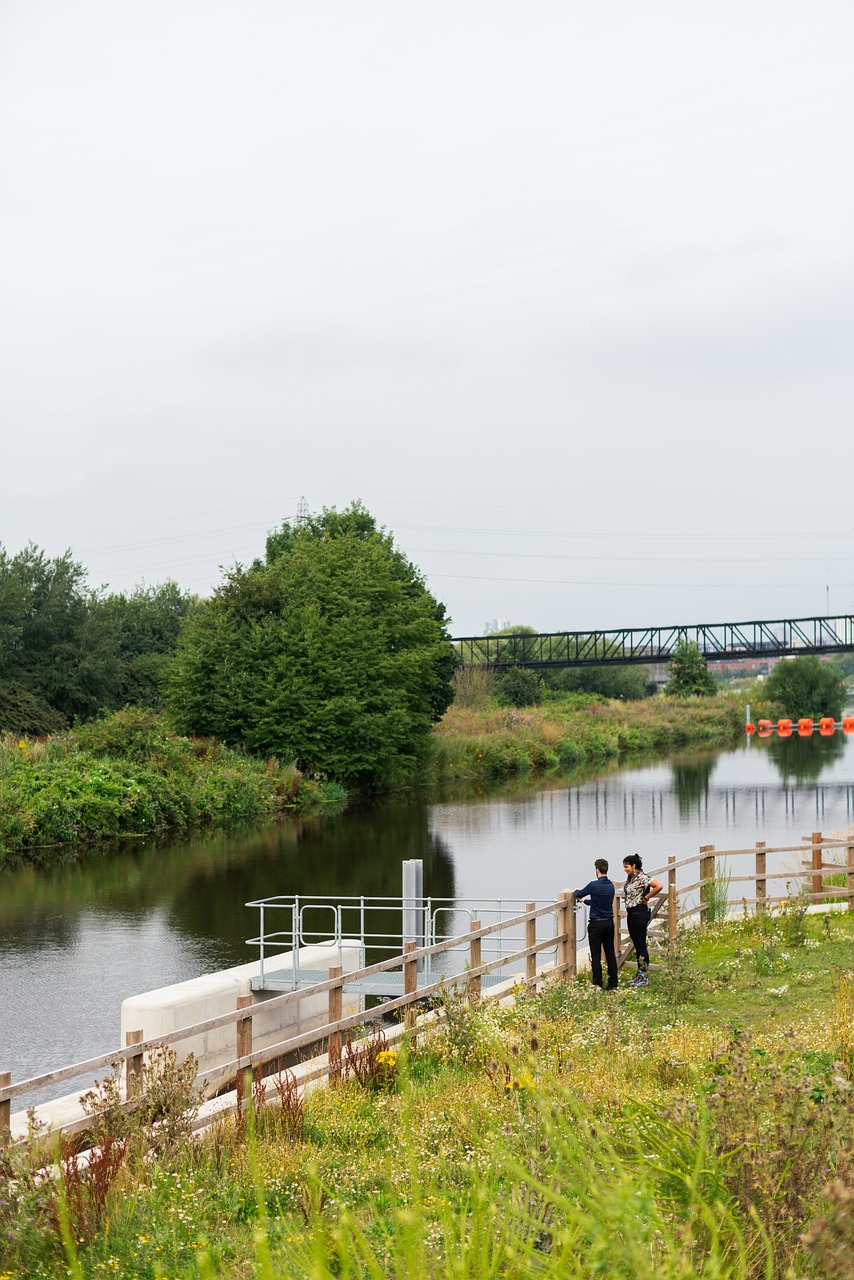 engineer, engineering, civil engineer, river, flooding, flooding prevention